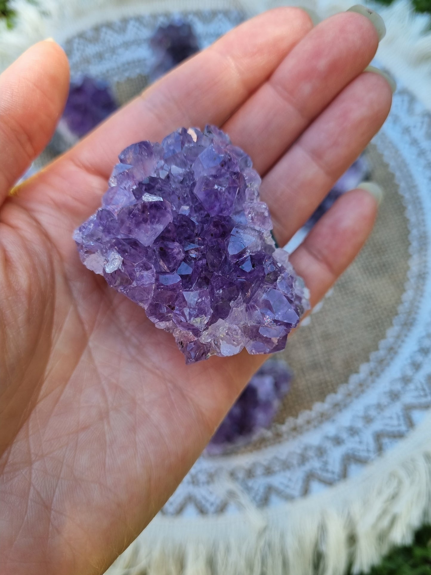 Amethyst Clusters